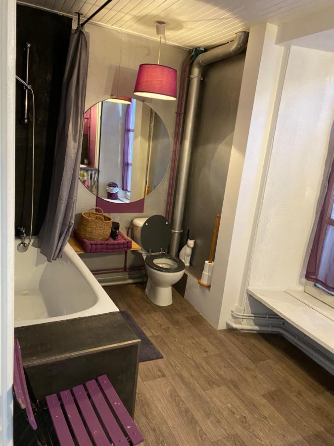 Charmant Appartement Au Coeur Des Volcans D Auvergne ミュラ エクステリア 写真