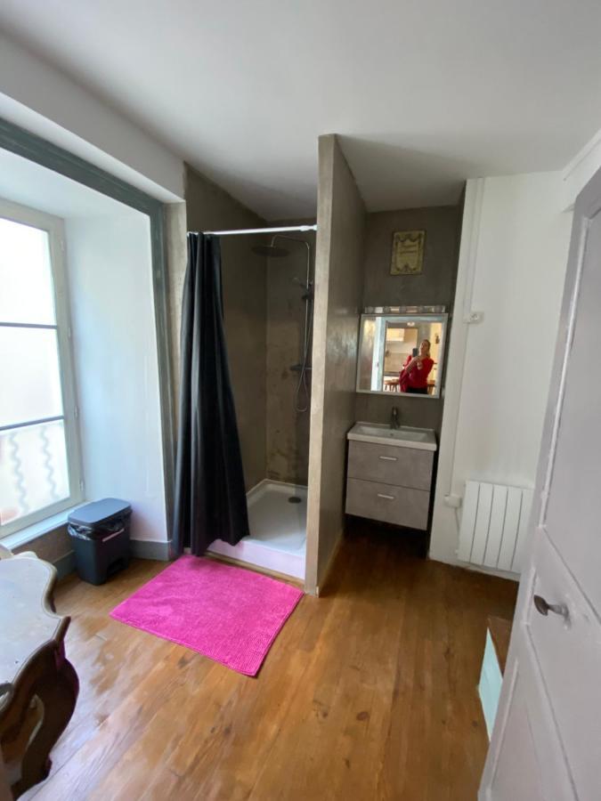 Charmant Appartement Au Coeur Des Volcans D Auvergne ミュラ エクステリア 写真