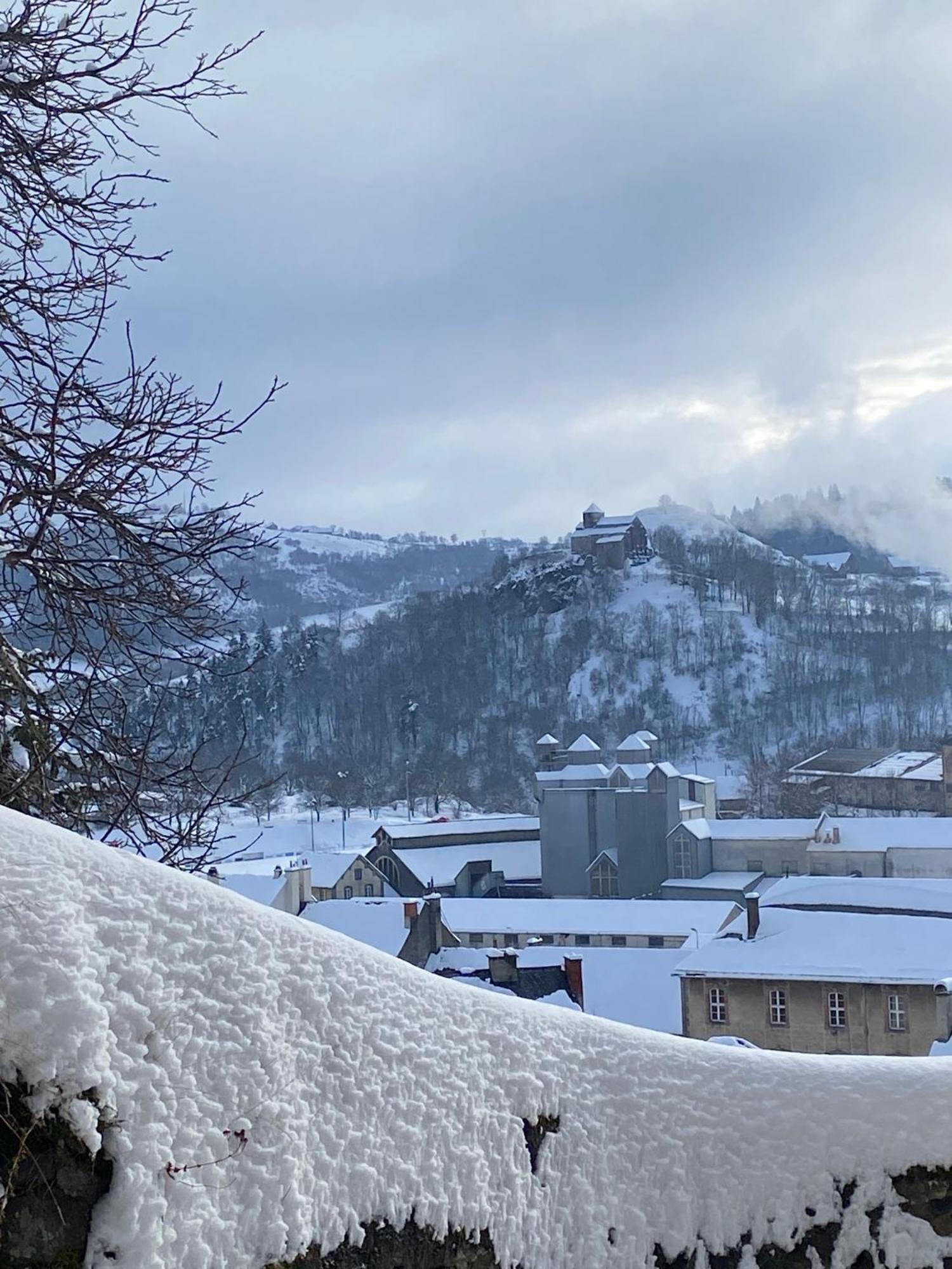 Charmant Appartement Au Coeur Des Volcans D Auvergne ミュラ エクステリア 写真